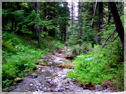 Creek reported to have high molybdenum values in headwaters / The Rix