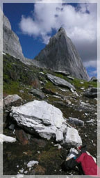 Pinnacles of Badshot Limestone in background