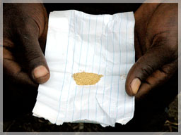Local worker’s gold extracted for the day / Ben Ben