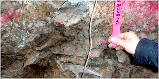 Mineralized Quartz in old adit Bird Creek