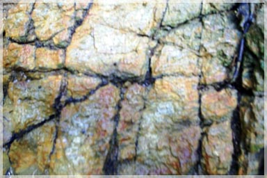 Sheared, foliated granitic gneiss host material / Mandingo Hill