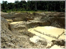 Beleyala alluvial mining covers an extensive area / CVI