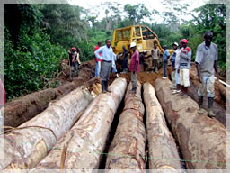 26 km road and 13 bridges constructed into the CVI project in preparation for major drill program / CVI