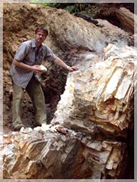 Robin Whiteaker PGeo during 43-101 Field visit inspects tmassive quartz veining that hosts mineralization near Bolllustown on strike with Supermarket prospect.
